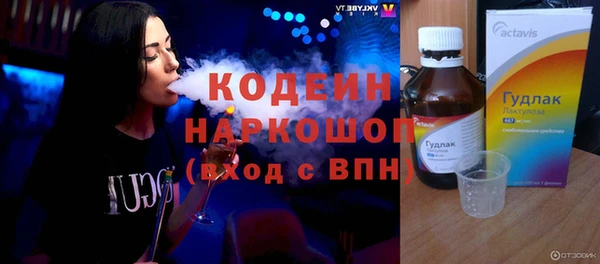 прущий лед Алзамай