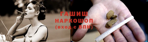 индика Арсеньев