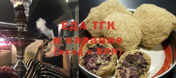 индика Арсеньев