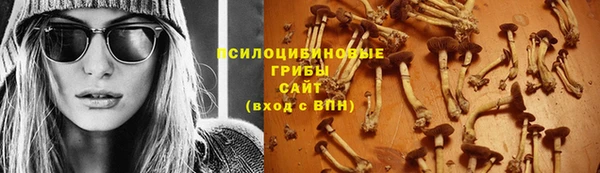 индика Арсеньев